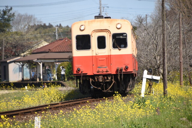 040.jpg