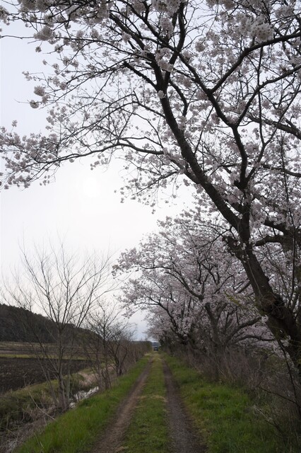 051r.jpg