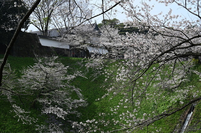 060.jpg