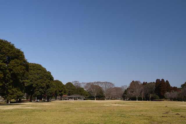 109.jpg