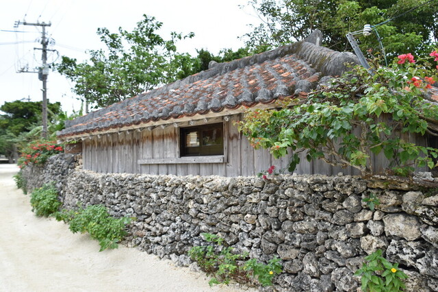 136.jpg