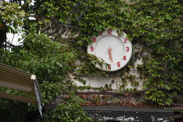 149.jpg