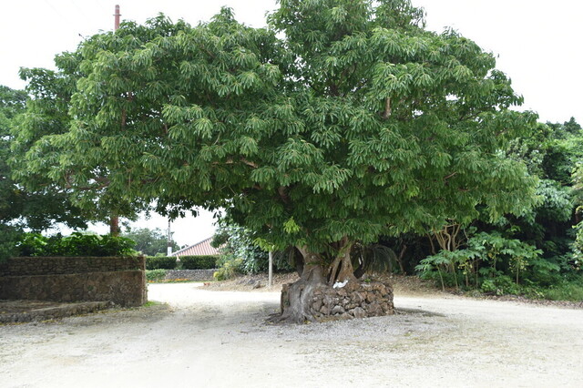 194.jpg