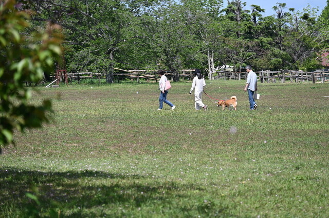 254.jpg