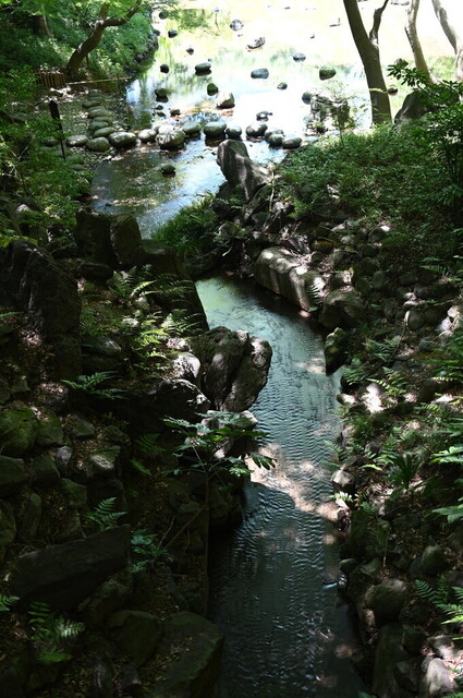 273.jpg