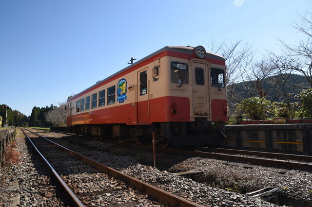 531.jpg