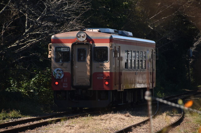 543.jpg