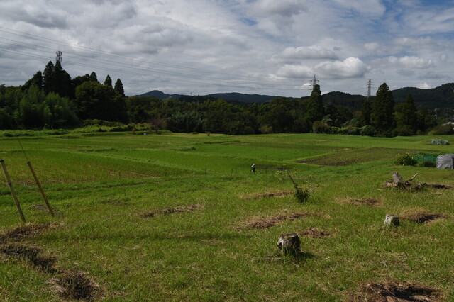 DSC_0665.jpg