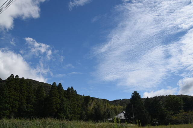 DSC_0666.jpg
