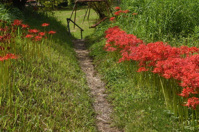 DSC_0668.jpg