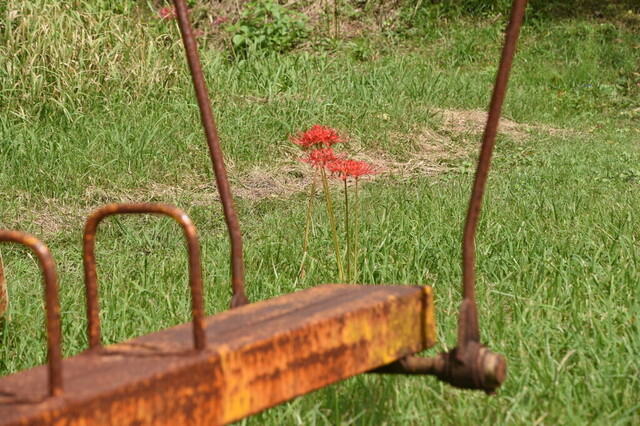 DSC_0670.jpg