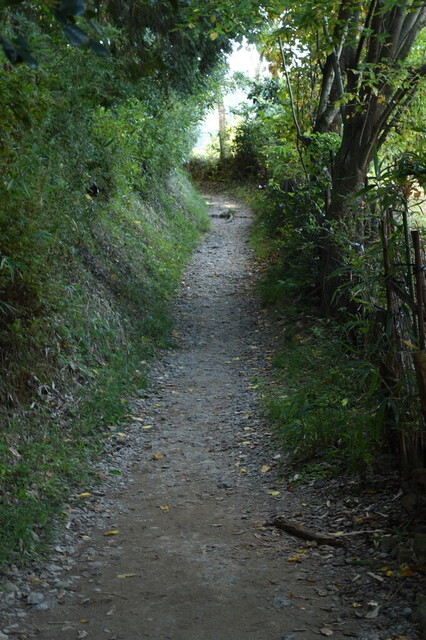 DSC_0700.jpg