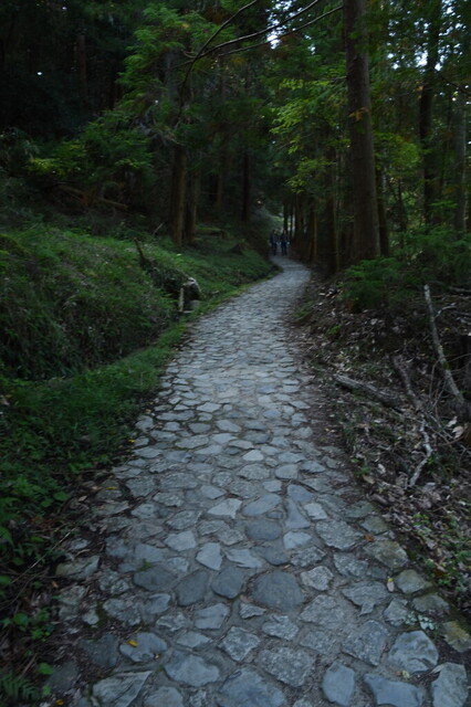 DSC_0714.jpg