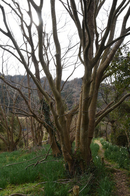 DSC_0761.jpg