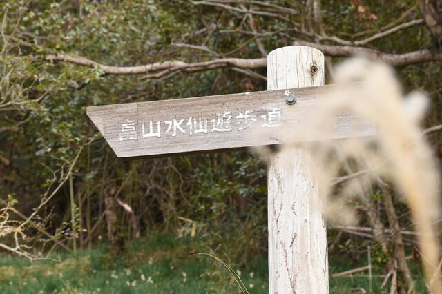 DSC_0774.jpg