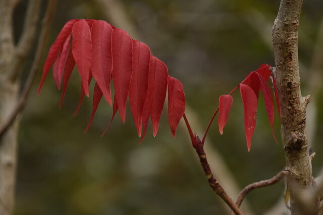 DSC_0777.jpg