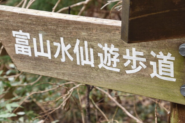 DSC_0882.jpg