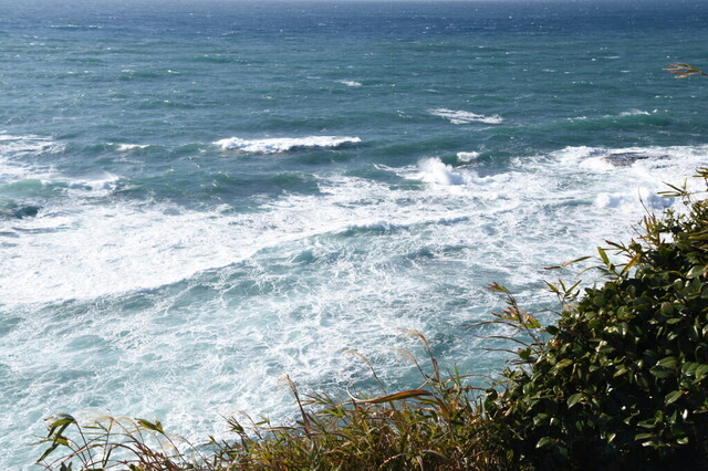 DSC_0978.jpg