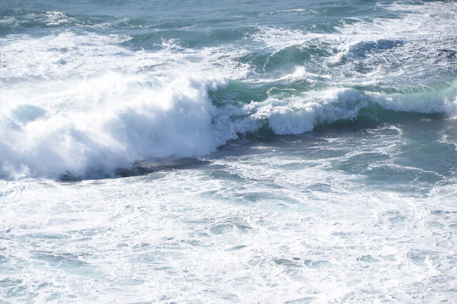 DSC_0983.jpg