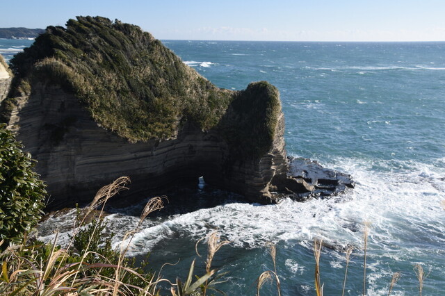 DSC_0986.jpg