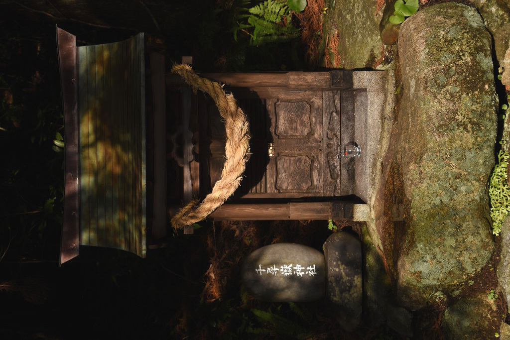 屋久島 #8」(2019年12月): 「春夏秋冬 思いのままに」 屋久島 #8」(2019年12月): 「春夏秋冬 思いのままに」