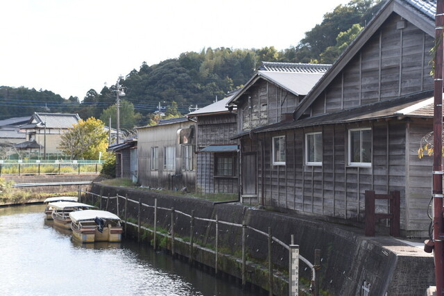 DSC_1232.jpg