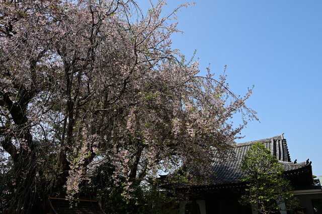 168.jpg